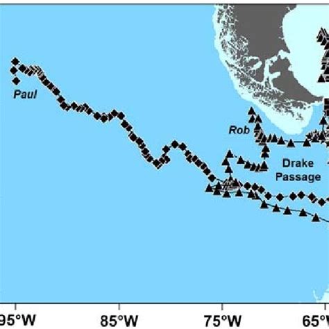 Migration paths of Rockhopper Penguins tracked for shorter periods and... | Download Scientific ...