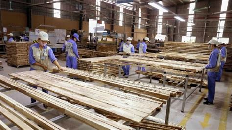 Binh Dinh to have largest-ever wood processing factory - The Saigon Times