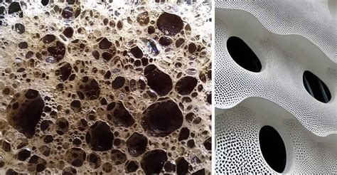 Trypophobia: Disgust, distress, and dread | Lifestyle Column | English Manorama