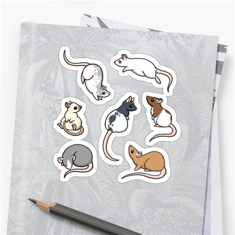 "Rats" Sticker by bgolins | Redbubble