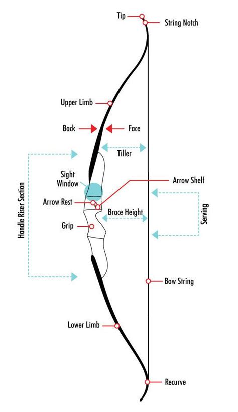 Recurve Bow Size Chart Best Recurve Bow Strings Review [curr