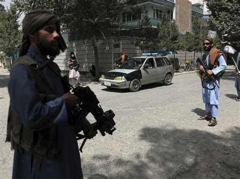 A Kabul Animal Rescue Is Racing To Airlift Hundreds Of Pets Out Of ...