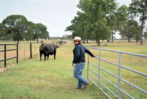 Rangeland, wildlife, fisheries department looks aheadAgriLife Today