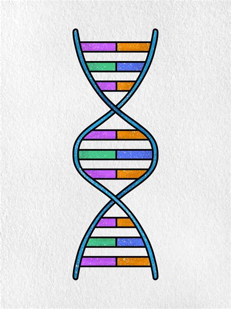 How to Draw DNA - HelloArtsy