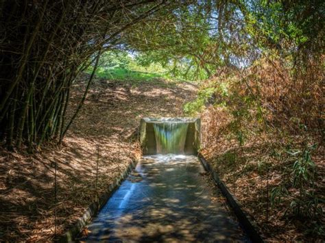 Photographs of the Botanical Garden of Culiacan, Sinaloa 2020 ️