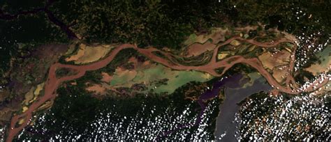 Satellite image of the Amazon River and of its floodplain. The... | Download Scientific Diagram