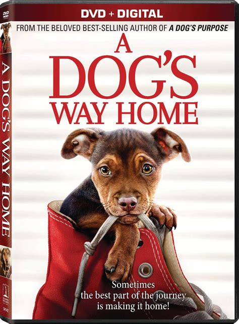 A Dog's Way Home DVD Release Date April 9, 2019