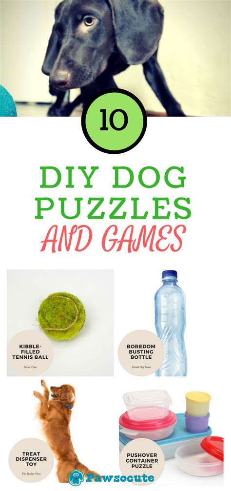 10+ Best DIY Dog Puzzle Toys and Games to Make at Home | Dog puzzles ...