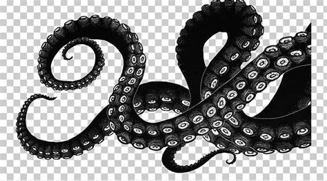 an octopus drawing with black and white ink art, octopus transparent ...