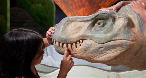 MN Children's Museum visited by dinosaurs this summer