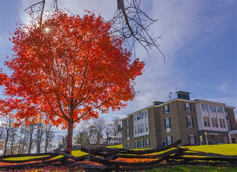 Fenimore Art Museum Brilliant Maple - Capturing A Masterpiece ...