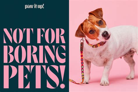 Paw It Up! | Pet branding, Dog branding, Branding design