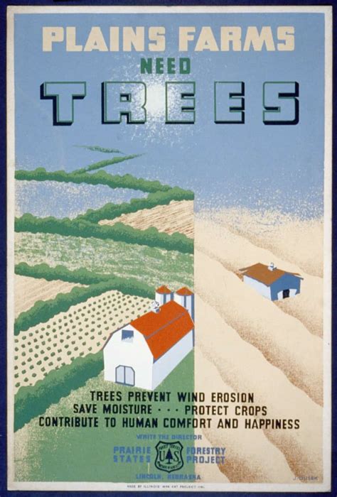 Trees on the Great Plains: Shelterbelts and the Forest Service | The Smokey Wire : National ...