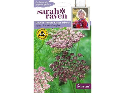 SARAH RAVEN DAUCUS PURPLE KISSES MIXED - Seeds - Tates