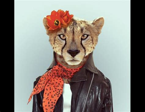 Zoo portraits: Animals in clothing Picture | Zoo Portraits Showcase Animals in Human Garb - ABC News