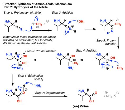 The Strecker Synthesis of Amino Acids – Master Organic Chemistry