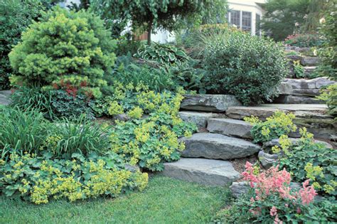 Natural Stone Steps – Cording Landscape Design