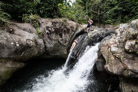 El Yunque Rainforest Guided Hiking Tour