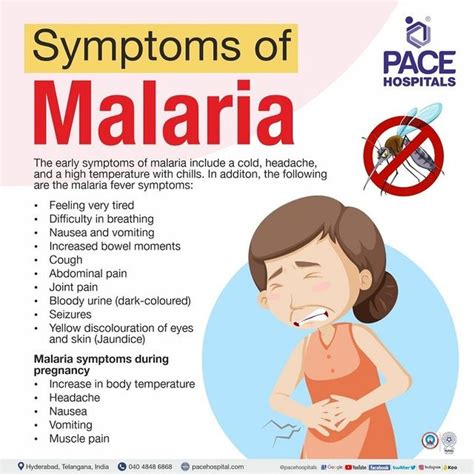 Understanding Malaria: Causes, Symptoms, And Treatment - Ask The Nurse ...