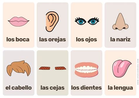 Free Printable Spanish Flashcards For Kids (and posters!) | Spanish Mama