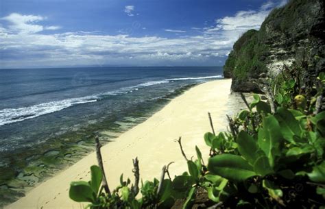 Pantai Surga Foto Latar belakang Dan Gambar Untuk Download Gratis - Pngtree