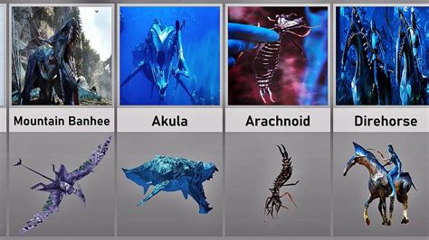 AVATAR ALL CREATURES COMPARISON - YouTube