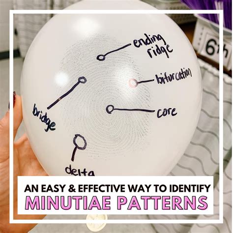 An Easy and Effective Way to Identify Minutiae Patterns ⋆ The Trendy ...