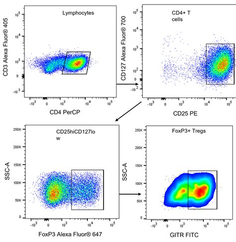 Flow Cytometry Panel Products: R&D Systems