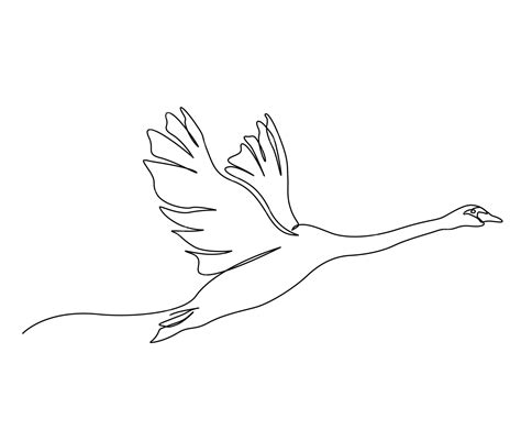 Premium Vector | Continuous one line drawing of flying swan simple mute swan outline vector ...