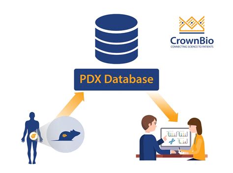 3 Tips to Navigate a PDX Database