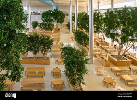 Cupertino CA USA December 14, 2019: Apple headquarters employee cafeteria Stock Photo - Alamy