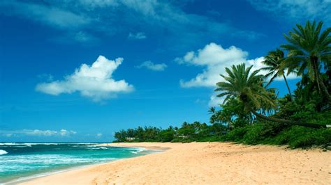 Hawaii Beach Wallpaper (58+ images)