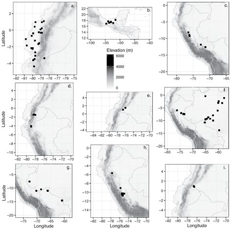 ﻿Eighteen new species of Neotropical Costaceae (Zingiberales)