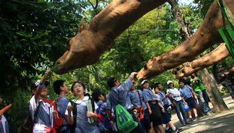 Local Tourists Still Favor Surabaya Zoo - en.tempo.co