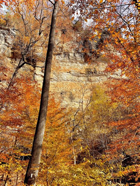 White Mountains Fall Colors, NH : r/natureporn