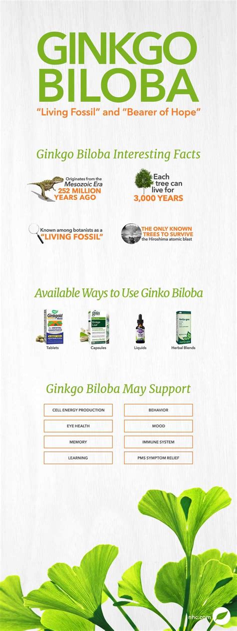 Ginkgo Biloba