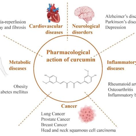 Main pharmacological effects of curcumin. | Download Scientific Diagram