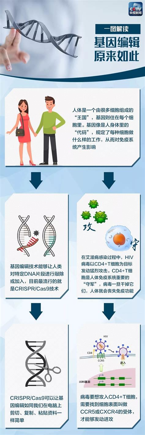 基因编辑原来是这么回事，一张图看懂了_贺建奎