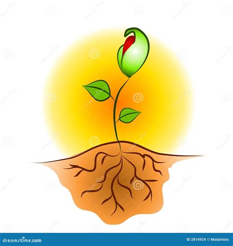 Seedling Stock Illustration | CartoonDealer.com #21859315