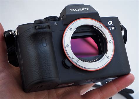 Sony Alpha A7 Mark III (ILCE-7M3) Review | ePHOTOzine