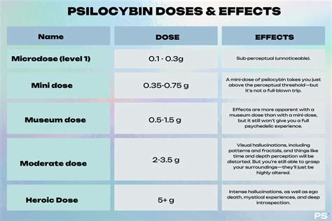 How Long to Wait Between Mushroom Trips for Optimal Results