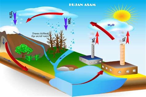APAKAH HUJAN ASAM ITU