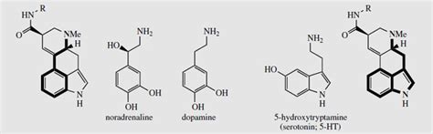 Ergot Alkaloids | Alkaloids from Plants | Medicinal Herbs | Botany | Biocyclopedia.com