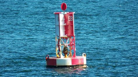 Types Of Buoys | Know The Buoys, Beacons, and Marks | Buoys, Water ...