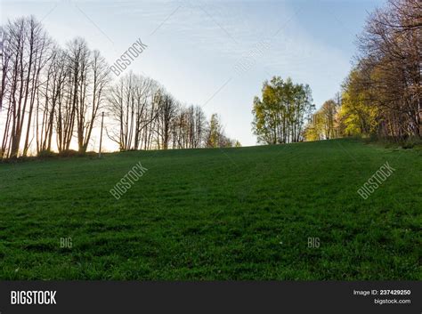 Autumn Park Background Image & Photo (Free Trial) | Bigstock