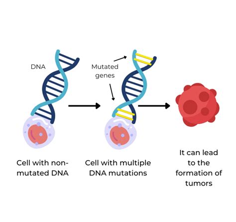 Dna Mutation Cancer