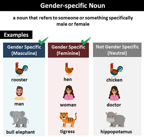 Gender-specific Noun: Explanation and Examples