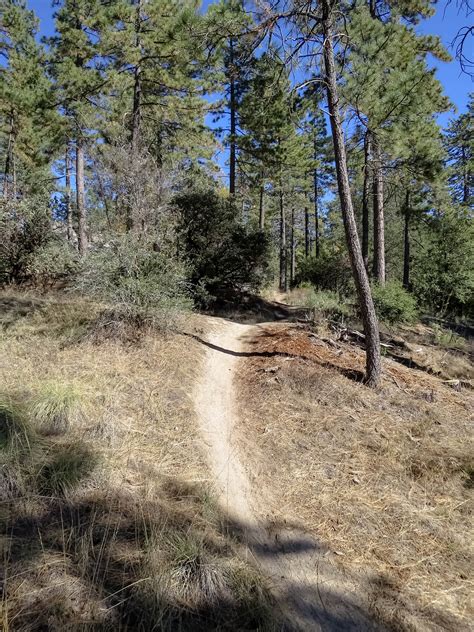 Mountain Biking in Idyllwild - Thrown Chain