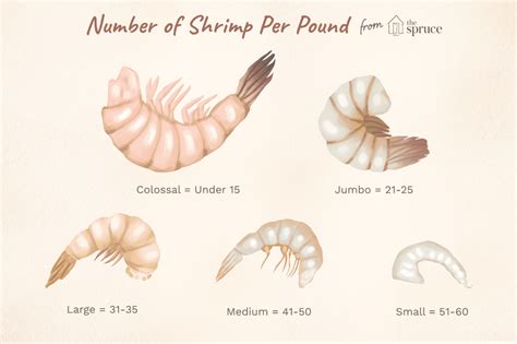 Shrimp Size Guide: How Many Shrimp do You Get Per Pound? – Four Star Seafood and Provisions