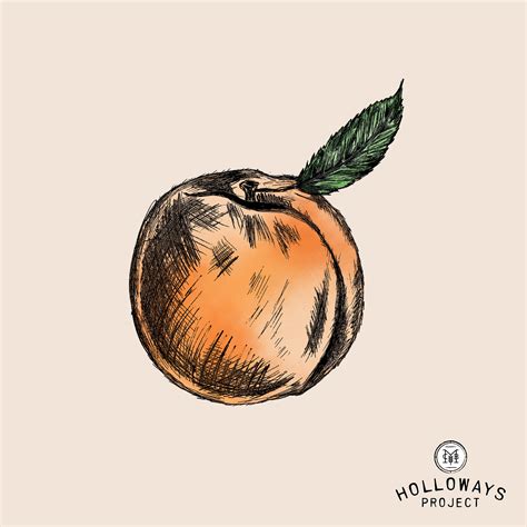 Holloways Project Logo Design, Branding and Label :: Behance